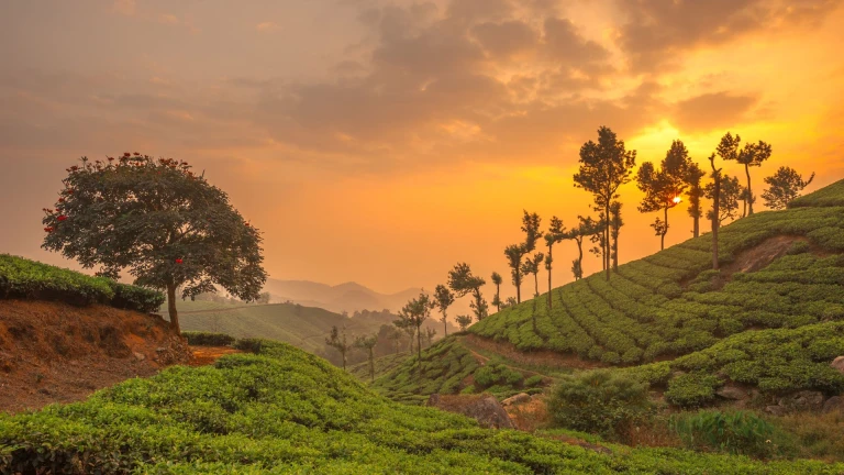 Munnar