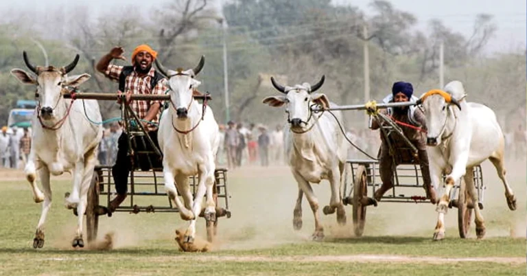 Kila Raipur, Punjab