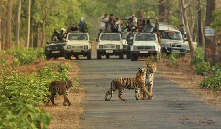 bannerghatta national park bangalore