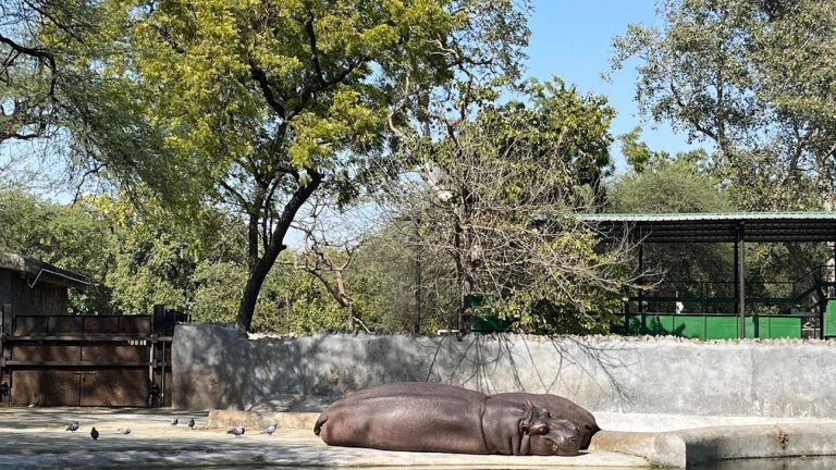 National Zoological Museum