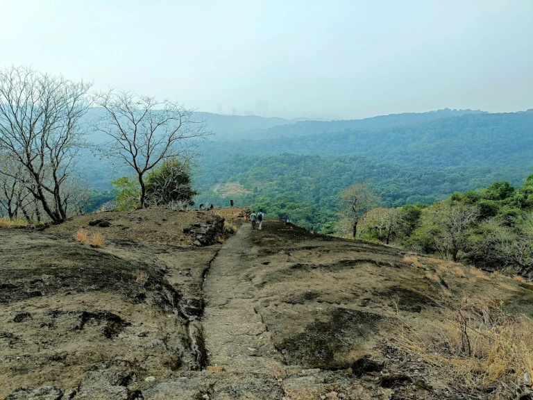 Sanjay Gandhi National Park mumbai