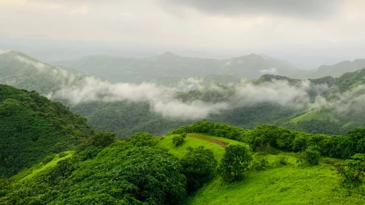 image for article 10 Monsoon Road Trips in Maharashtra for One Day