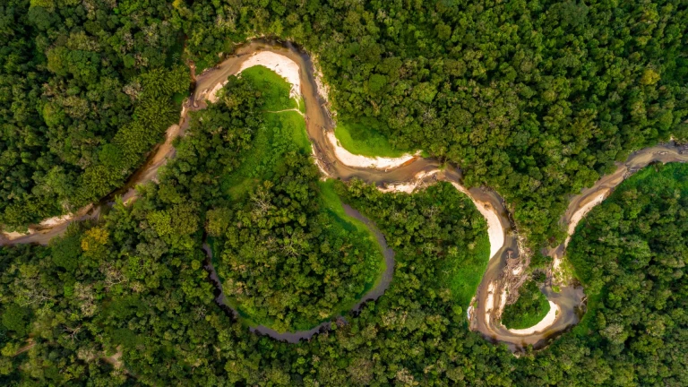 Amazon Rainforest, South America