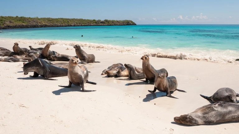 The Galapagos Islands, Ecuador