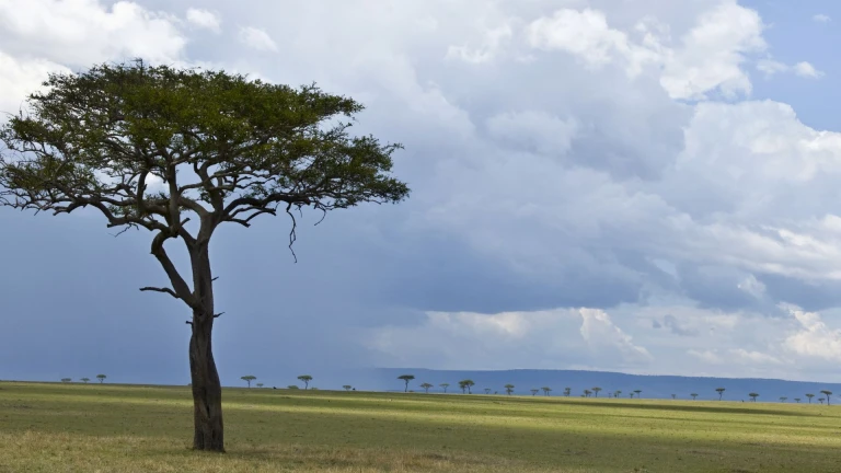 Tanzania, Africa