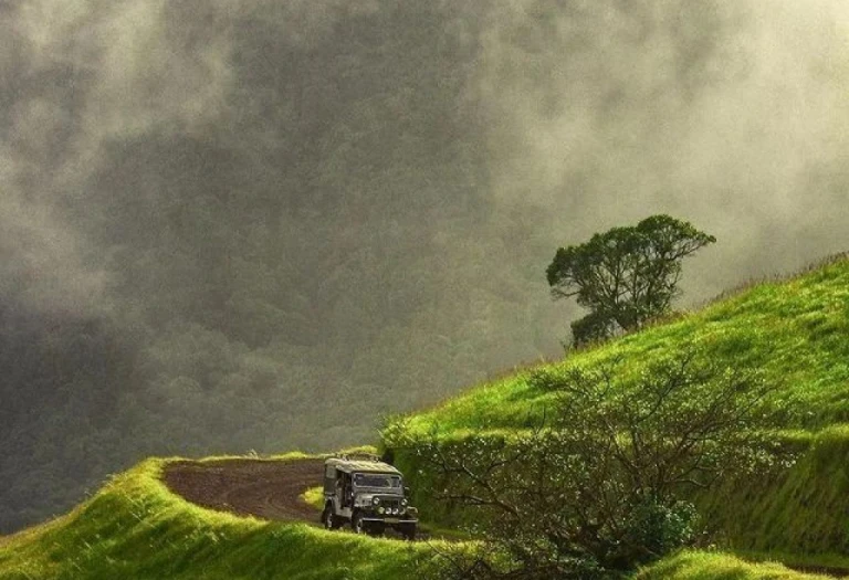 Coorg, Karnataka in Monsoon