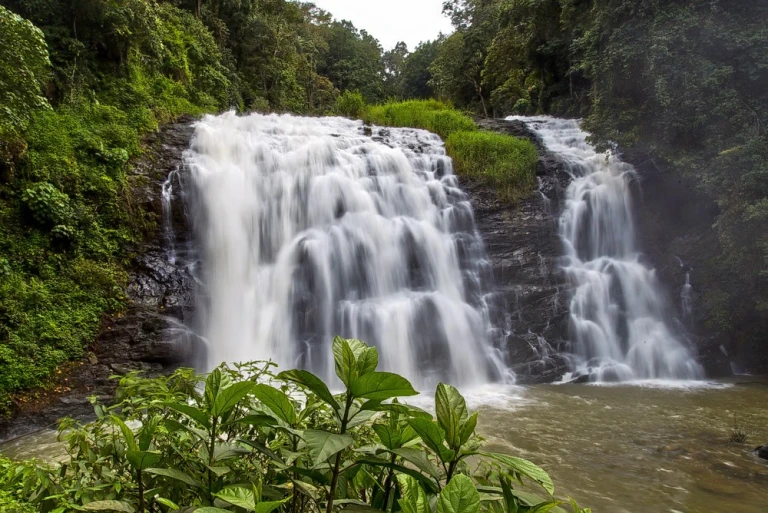 Waterfall in Coorg