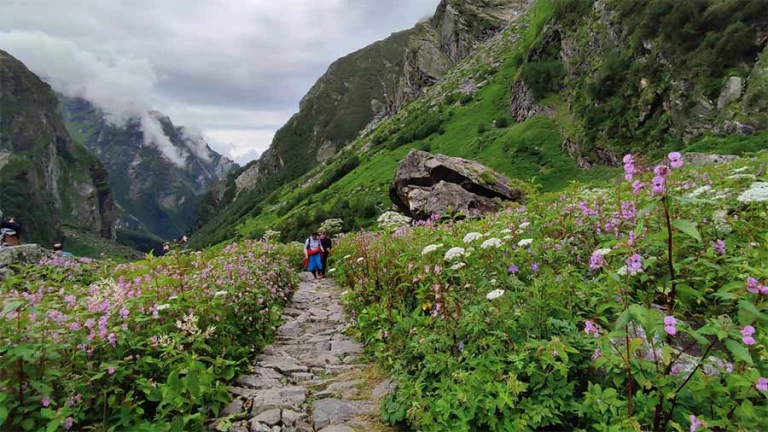  Valley of Flowers Trek (Uttarakhand)