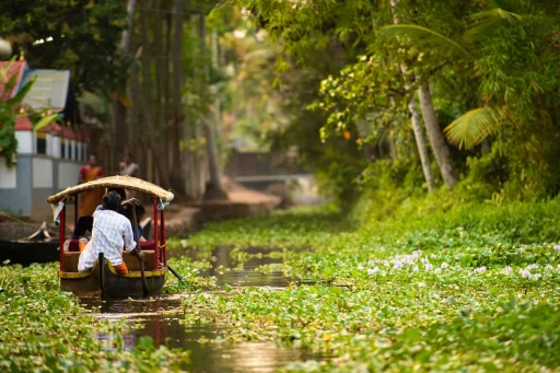 image for article Eco-Tourism Wonders: India's Most Unique Sustainable Destinations