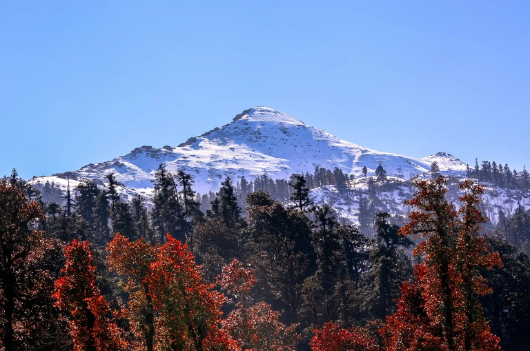 Kedarkantha Trek (Uttarakhand)