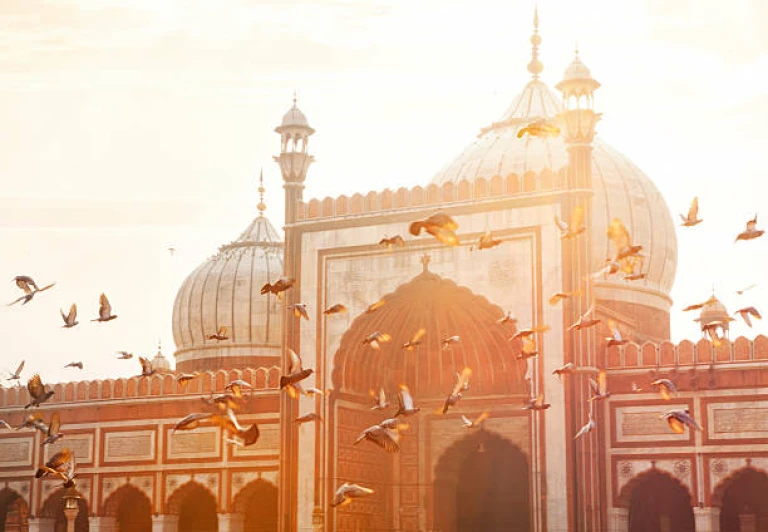 Jama Masjid - Old Delhi