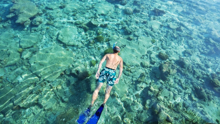 Snorkeling 