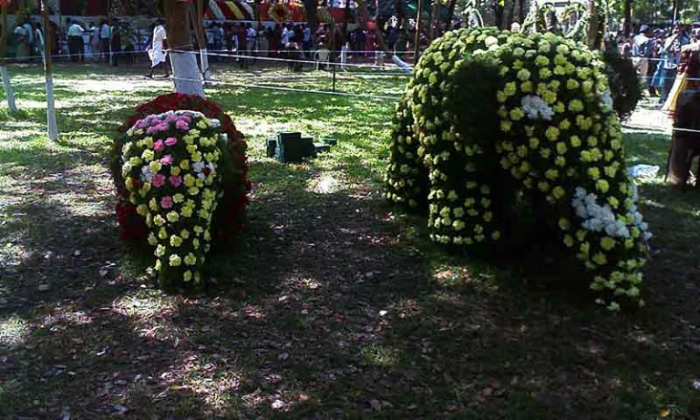 TNAU Botanical Gardens, Coimbatore