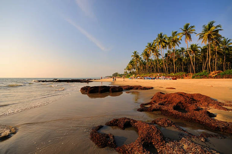 Morjim Beach Goa