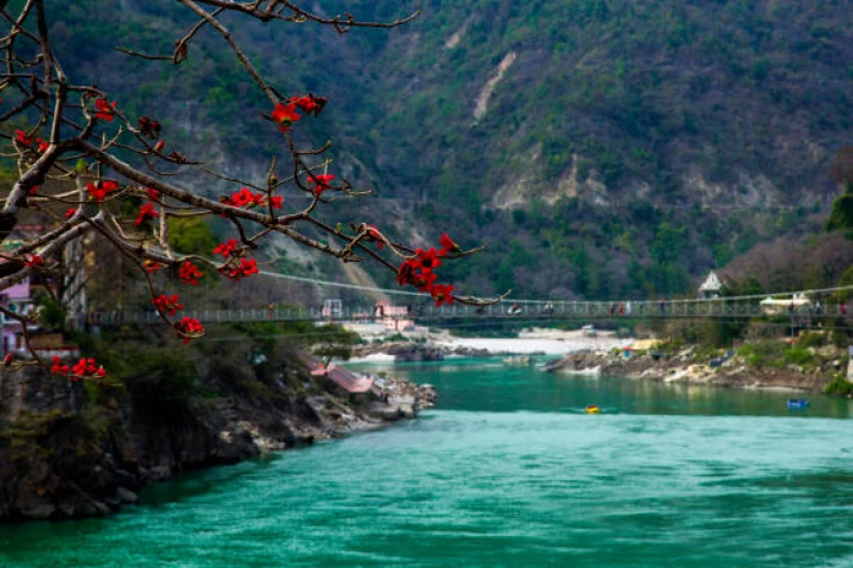 Rishikesh, Uttarakhand