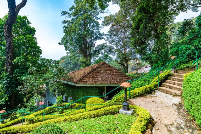 The Tall Trees Munnar