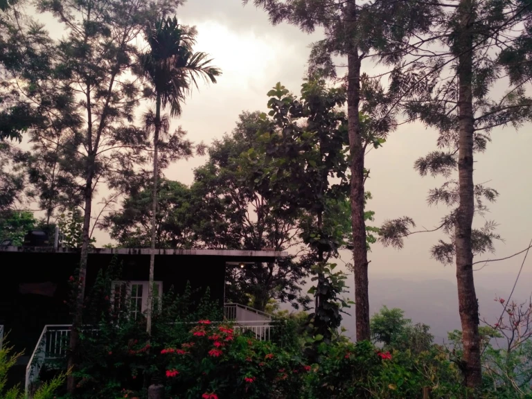   Season7, The Nature Resort munnar, Akhil Thilakan