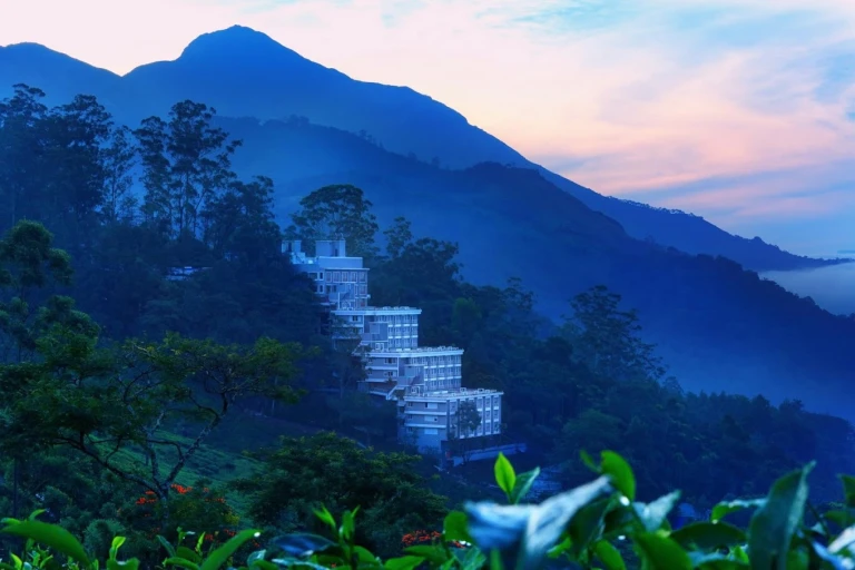 Chandys Windy Woods Munnar