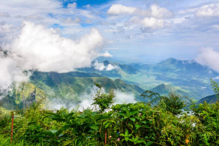 Pillar Rocks Viewpoint in Kodaikanal