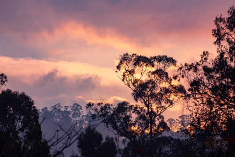 Kodaikanal, Tamil Nadu, India: Sunset On The Palani Hills