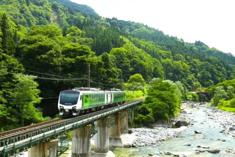 Resort View Furusato japanese train