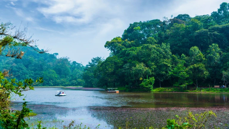  Wayanad, Kerala