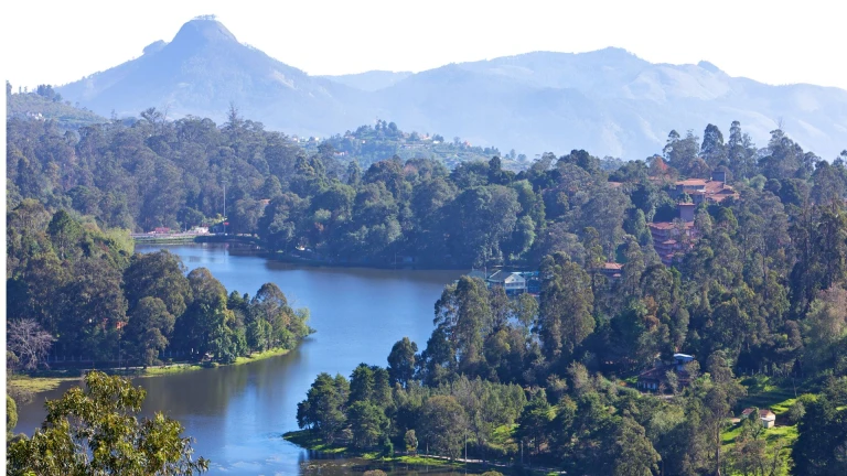 Kodaikanal, Tamil Nadu