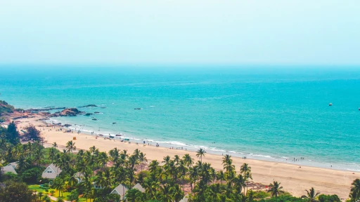 image for article Step by Step Guide on Planning a Bachelors Trip to Goa