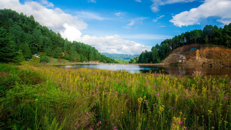 Ziro Valley