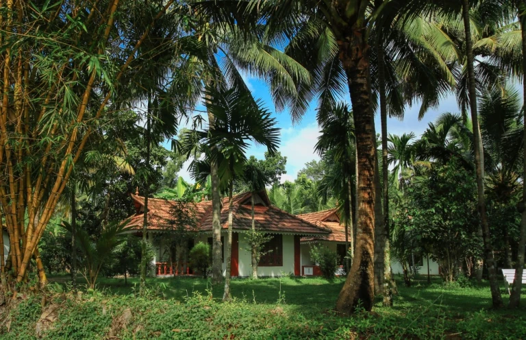 Palmgrove Lake Resort alleppey