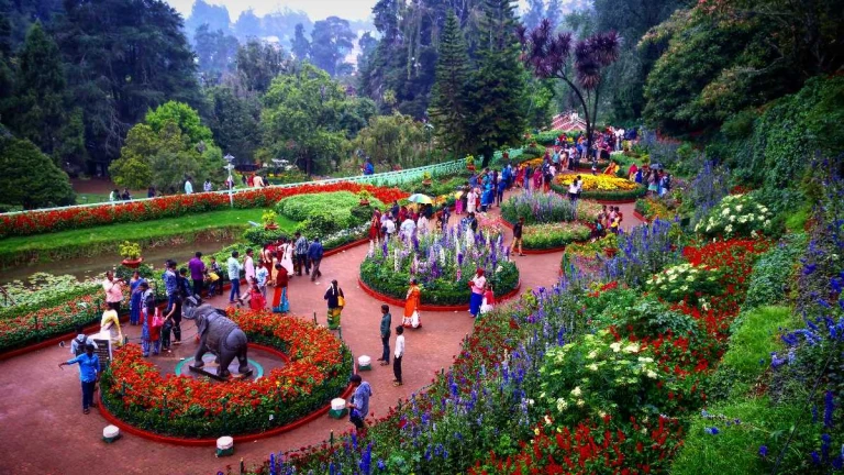 Ooty Botanical Garden Flower Show
