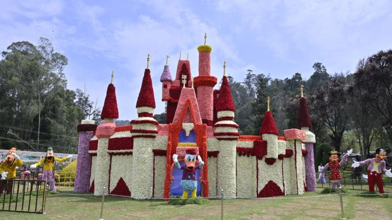 Disney fairy castle in the Nilgiris mountain,Ooty&#039;s 126th Flower Show