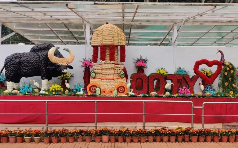 Ooty&#039;s 126th Flower Show