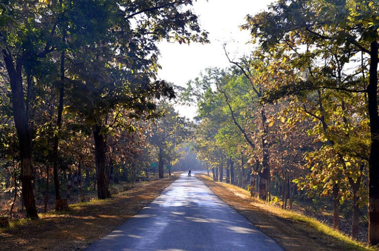 Tamia Madhya Pradesh