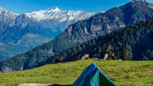 image for article Must Visit Eco-Tourism Spots in Himachal Pradesh