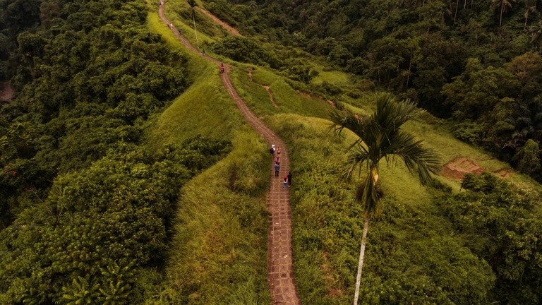 Campuhan Ridge Walk