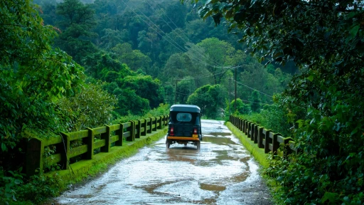 image for article Considering a visit to India in Monsoon? Consider these things