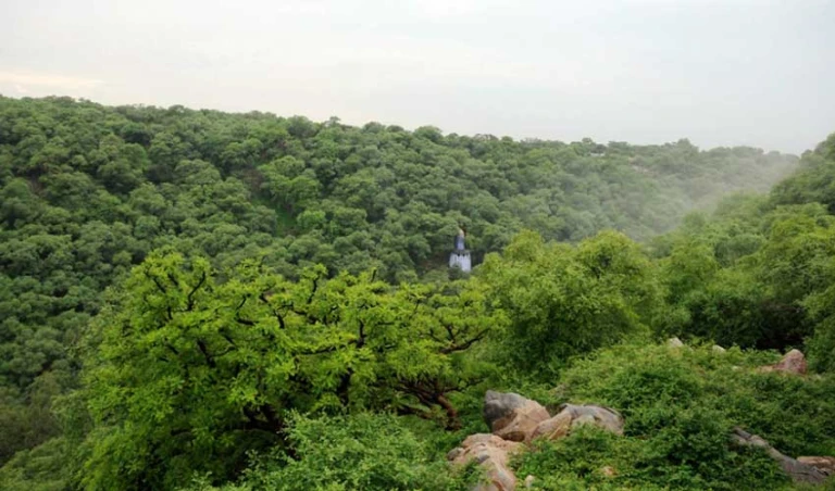 Mangar Bani Forest Gurgaon