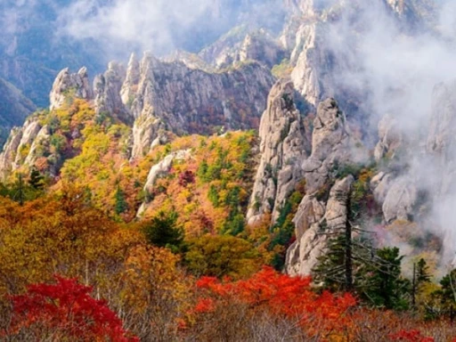 image for article Best Hiking Experiences in Gangwon Province During Autumn