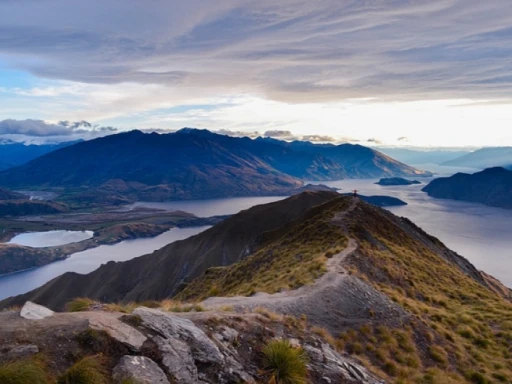 image for article Hiking in New Zealand: Trails Catered to Every Type of Traveller