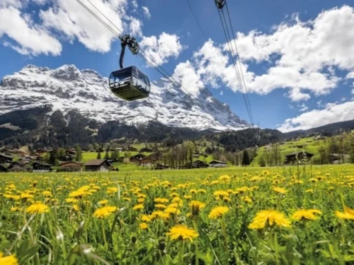 image for article 9 Summer Activities in Switzerland Adrenaline Junkies Will Love!