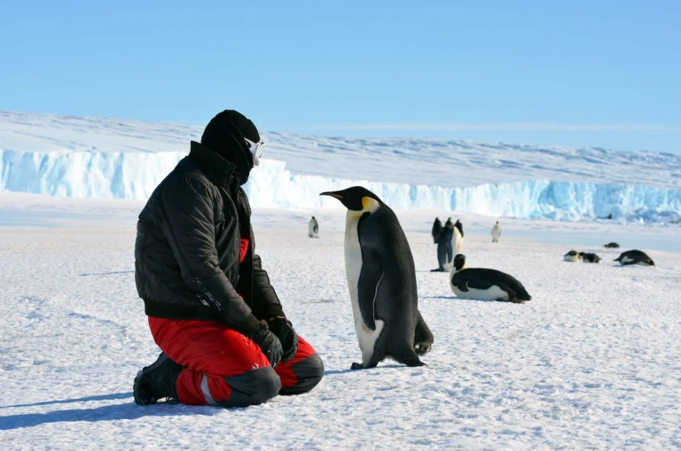 Antarctica tourism