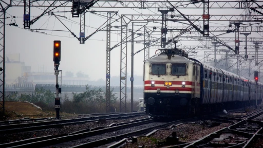 image for article  Choo-sing the right food: IRCTC and Zomato partner for onboard meals