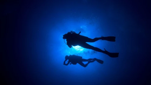 image for article The Ultimate Scuba Diver's Guide to India's Coastal Paradises