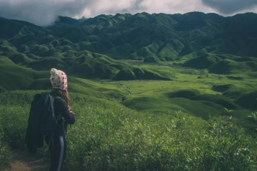 image for article Nagaland Travel Guide: What to See, Do, and Experience 