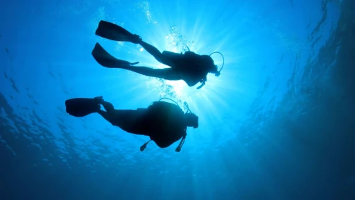 image for article Where to Scuba Dive in India- 2023