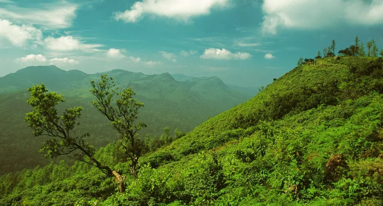 Ananthagiri Hills