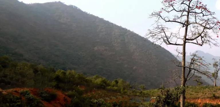 Olasuni Hill Odisha