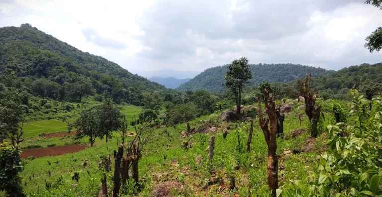 Niyamgiri Hills Odisha