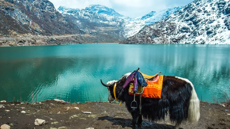 Gangtok